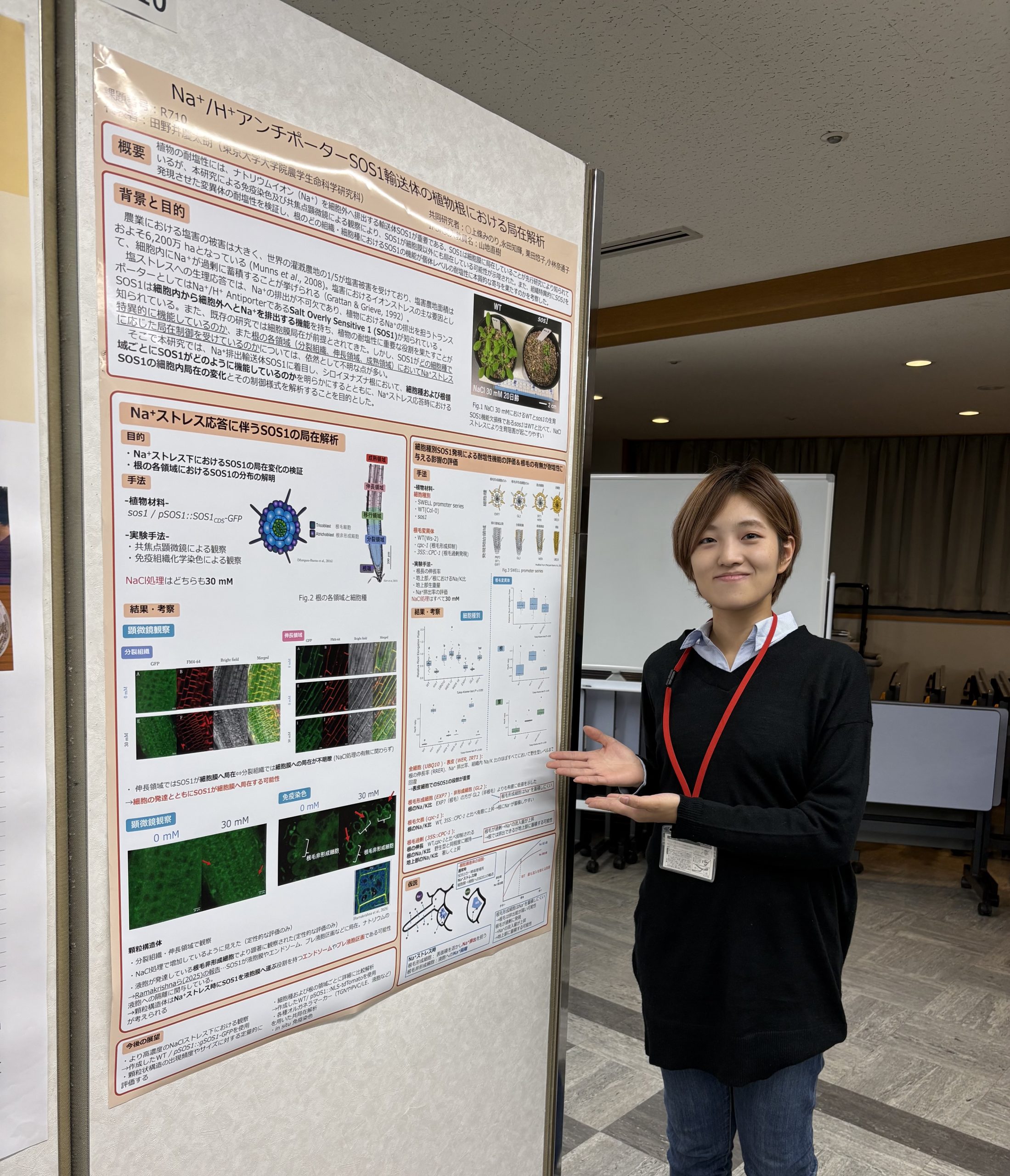 ポスター発表を行う上條さん（M2）の様子。SOS1輸送体の局在解析に関する研究成果を発表。